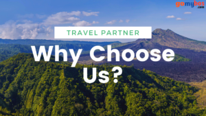 Read more about the article Why Gomybos is Your Perfect Online Travel Partner?